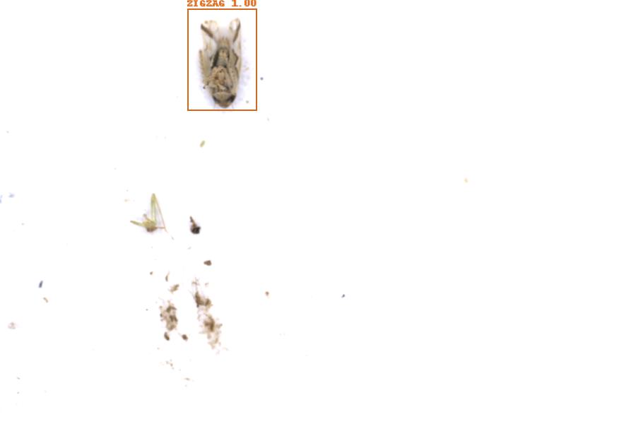 Image 12